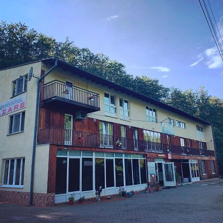 Cîrţişoara Pensiunea Pastravul酒店 外观 照片