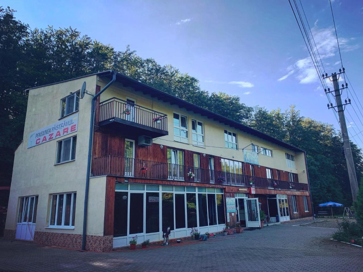Cîrţişoara Pensiunea Pastravul酒店 外观 照片