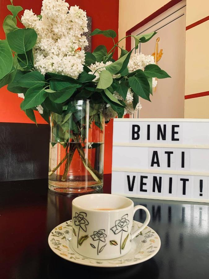 Cîrţişoara Pensiunea Pastravul酒店 外观 照片