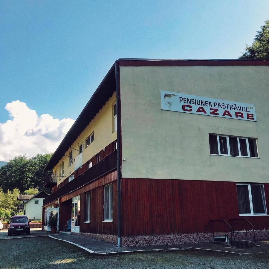 Cîrţişoara Pensiunea Pastravul酒店 外观 照片