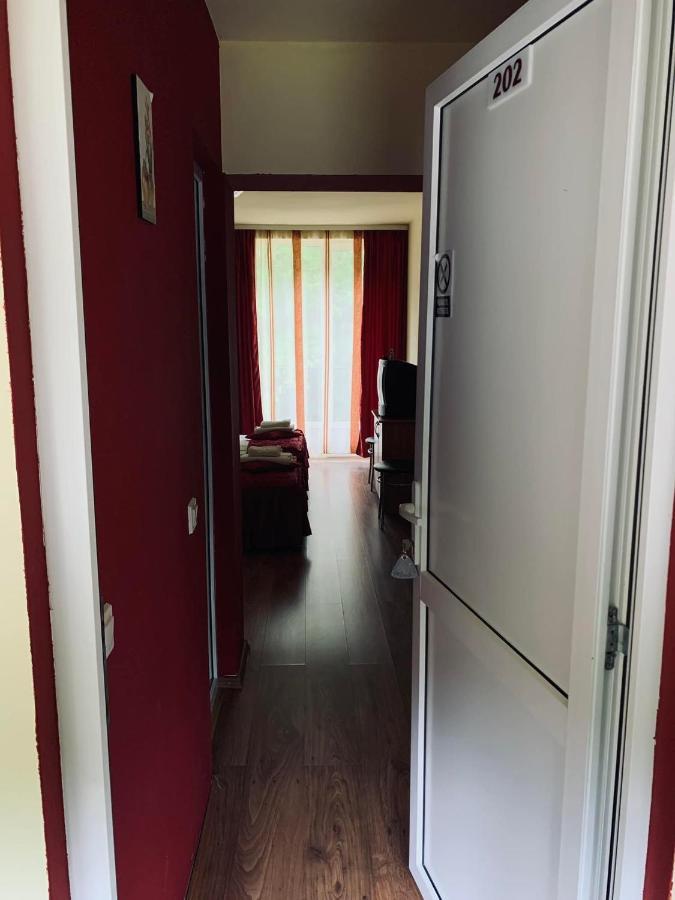 Cîrţişoara Pensiunea Pastravul酒店 外观 照片