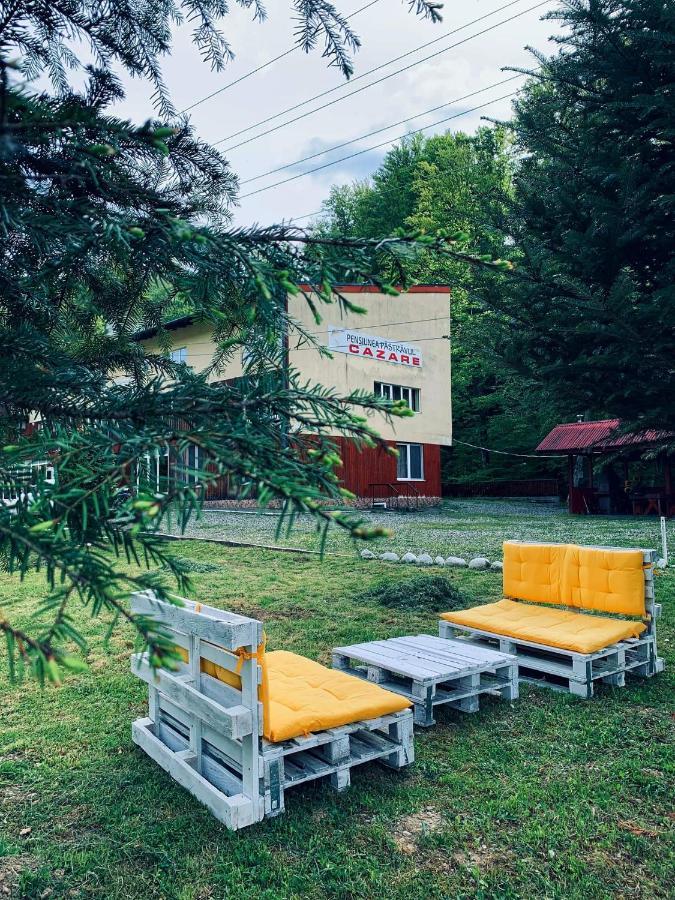 Cîrţişoara Pensiunea Pastravul酒店 外观 照片
